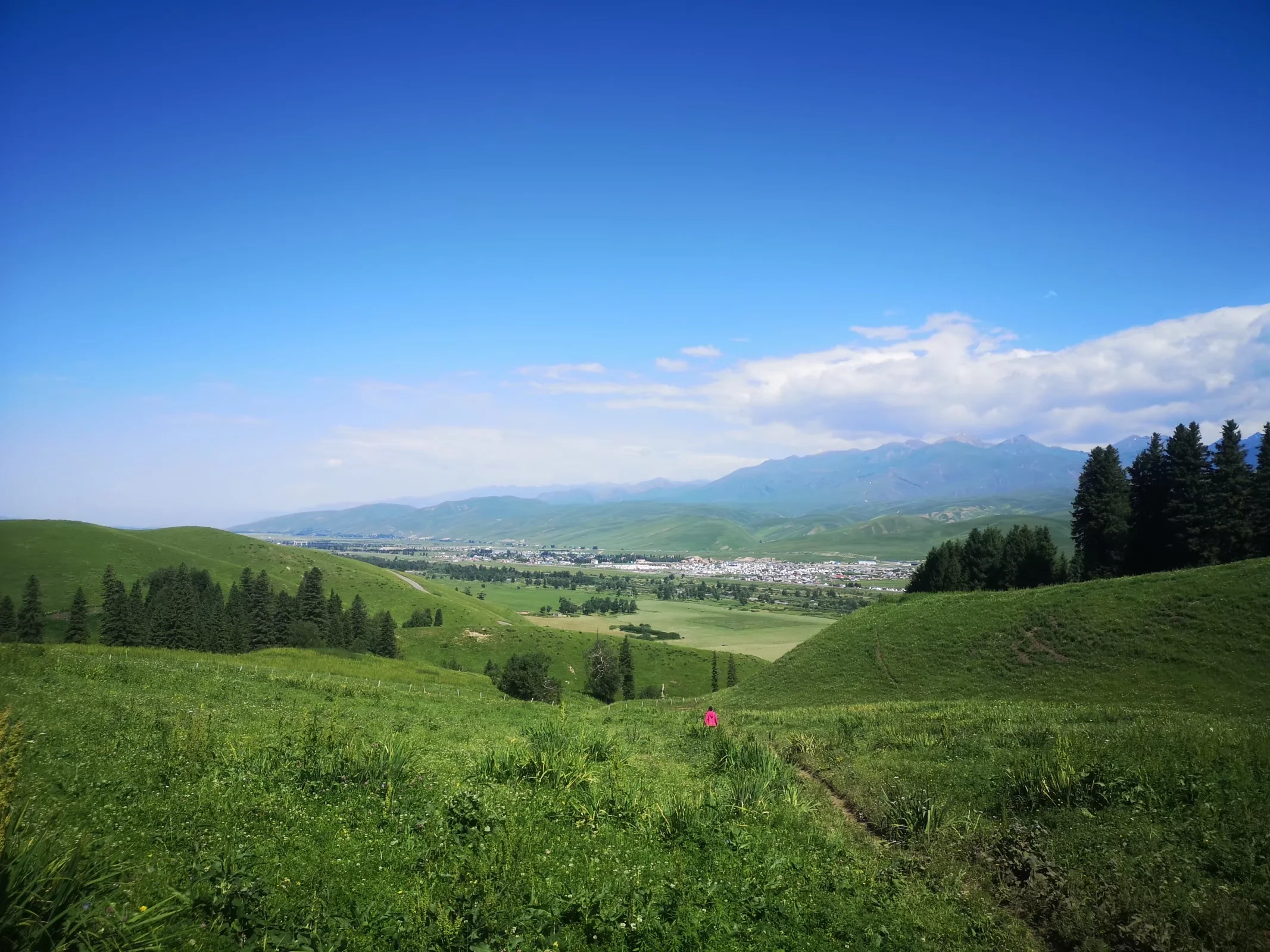 xj_0404.webp