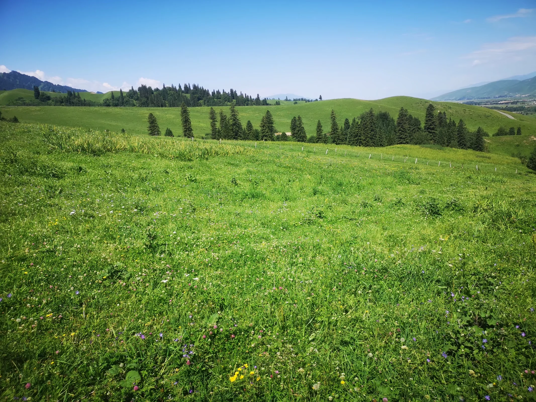 xj_0405.webp