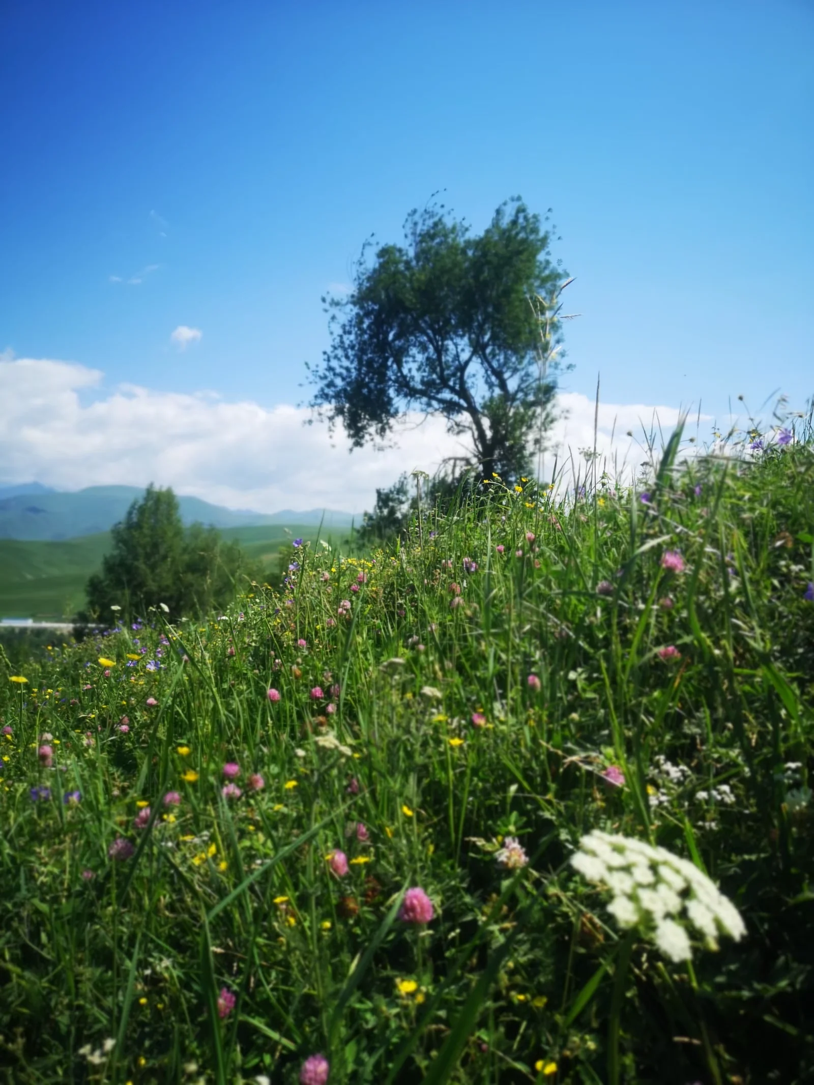 xj_0406.webp