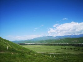 xj_0412.webp