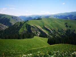 xj_0414.webp