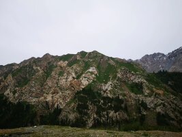 xj_0428.webp