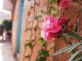 xj_0468.webp