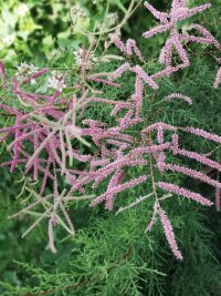 xj_0475.webp