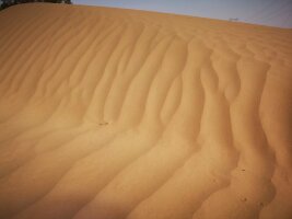 xj_0481.webp