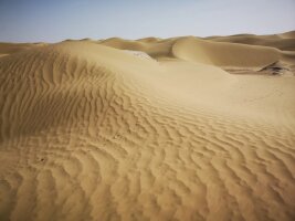 xj_0483.webp