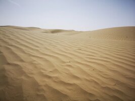 xj_0487.webp