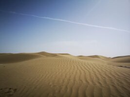 xj_0488.webp