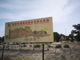 xj_0491.webp