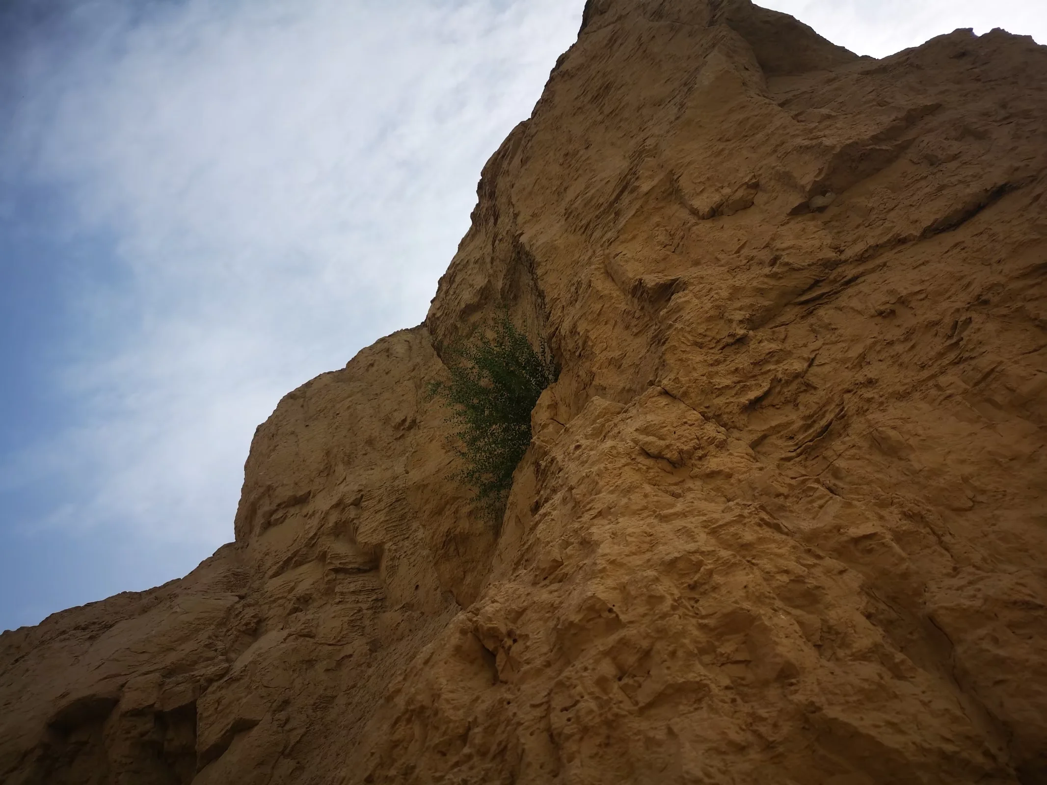 xj_0508.webp
