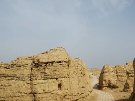 xj_0538.webp