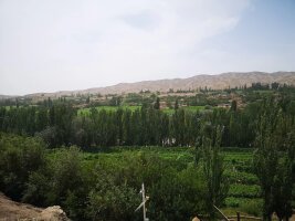 xj_0568.webp