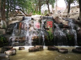 xj_0577.webp