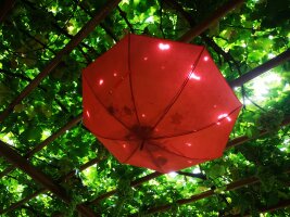 xj_0578.webp