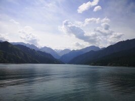 xj_0597.webp