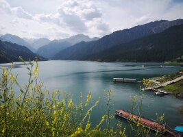 xj_0599.webp