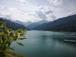 xj_0600.webp