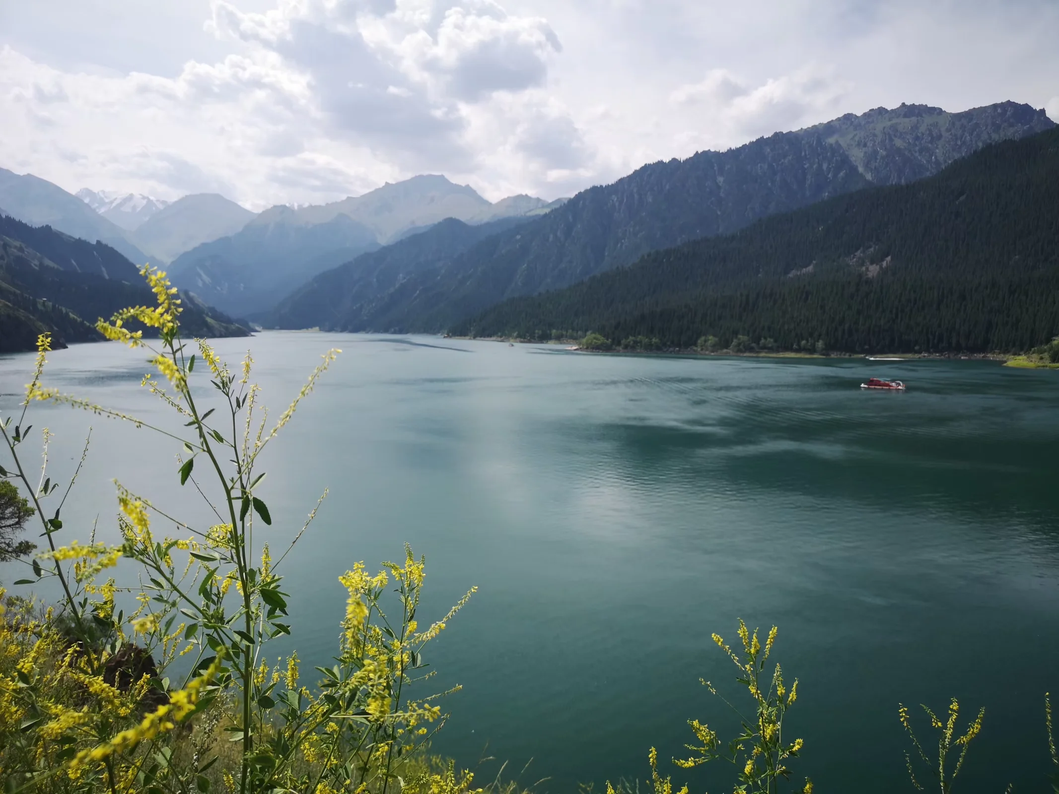 xj_0601.webp