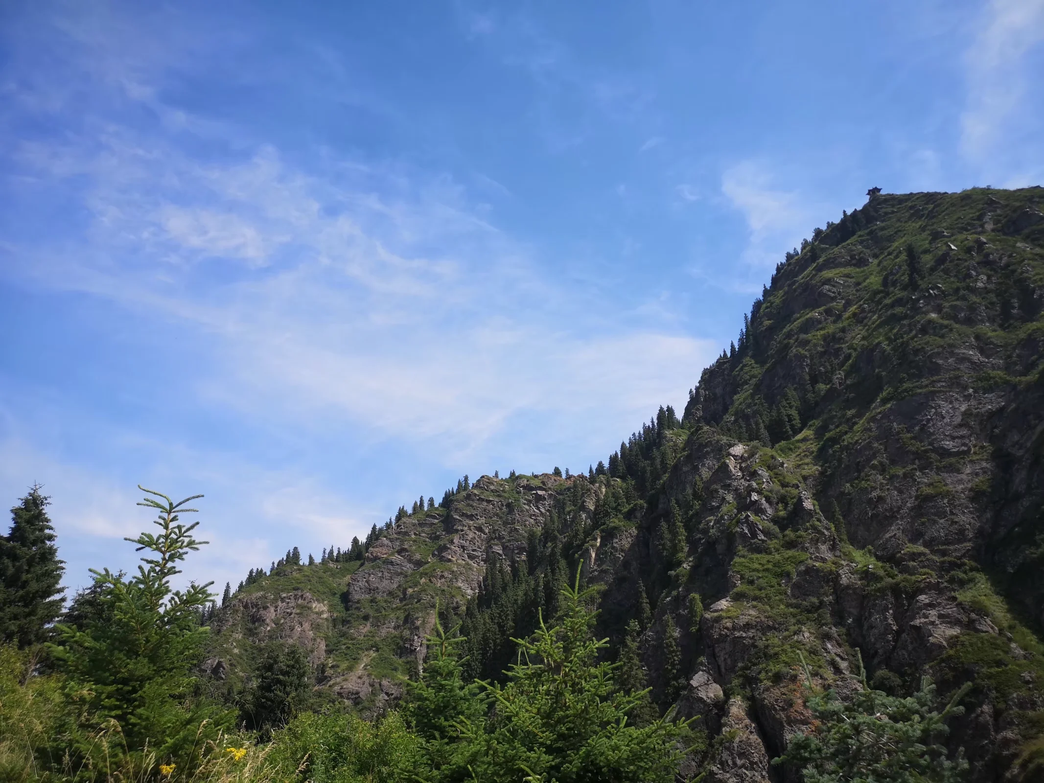 xj_0602.webp
