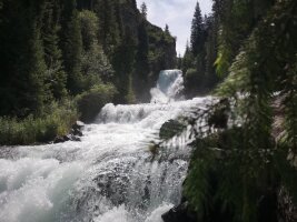 xj_0611.webp