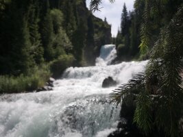 xj_0612.webp