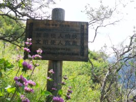 xj_0617.webp