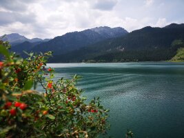 xj_0618.webp