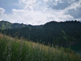 xj_0627.webp
