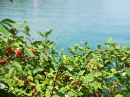 xj_0631.webp