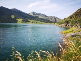 xj_0637.webp