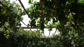 xj_0657.webp