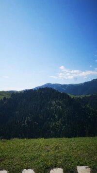 xj_0668.webp