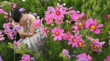xj_0670.webp