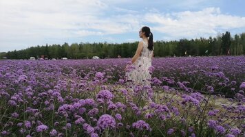 xj_0672.webp