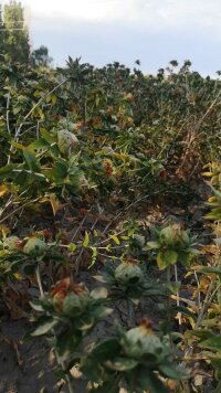 xj_0673.webp