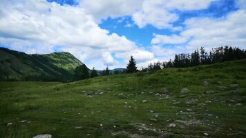 xj_0680.webp