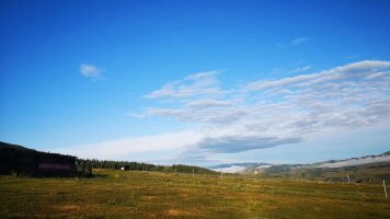 xj_0685.webp